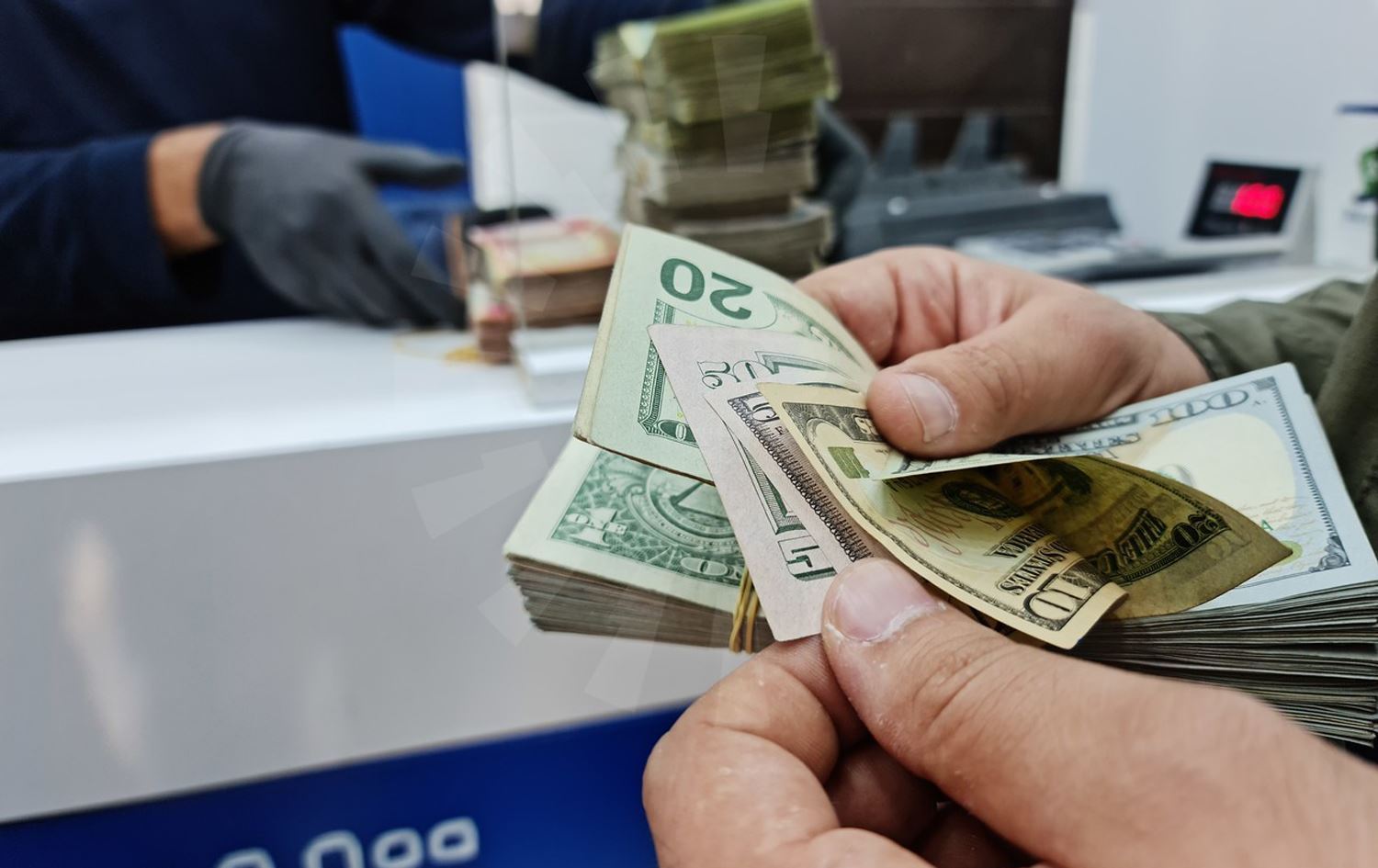 بعد عطلة التعداد.. الدولار يستقر في الأسواق العراقية